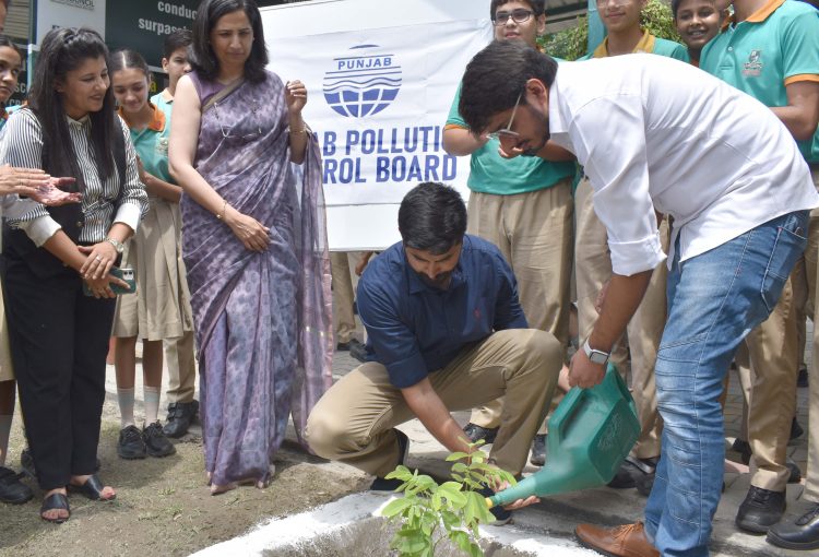 plantation ceremony on Woodland School campus