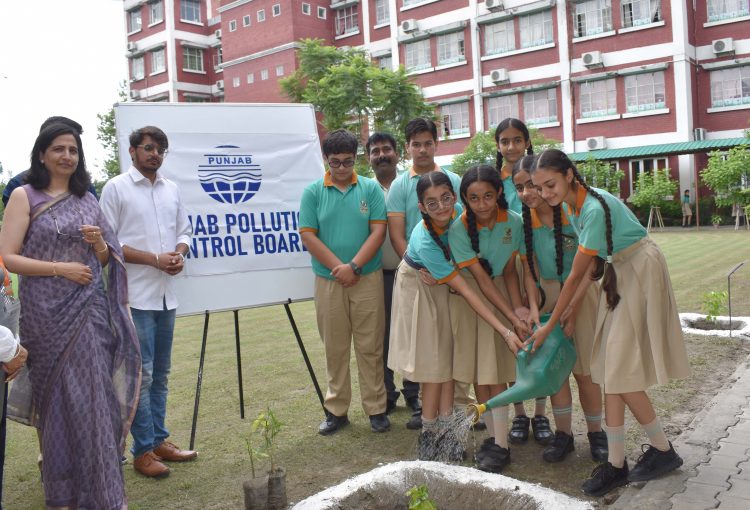 plantation ceremony on Woodland School campus